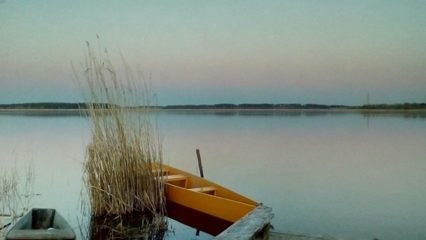 Проект "Жизнь одного предмета"