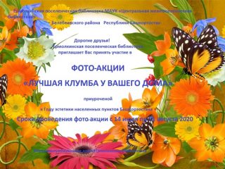 Лучшая клумба у вашего дома