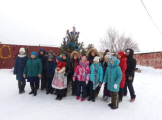 Елка в д. Вохменка